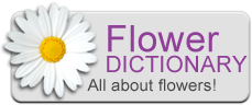 Flower Dictionary